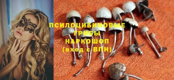 ГАЛЛЮЦИНОГЕННЫЕ ГРИБЫ Надым