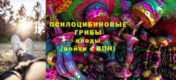 ГАЛЛЮЦИНОГЕННЫЕ ГРИБЫ Надым
