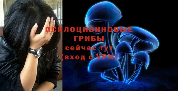 Альфа ПВП Аша