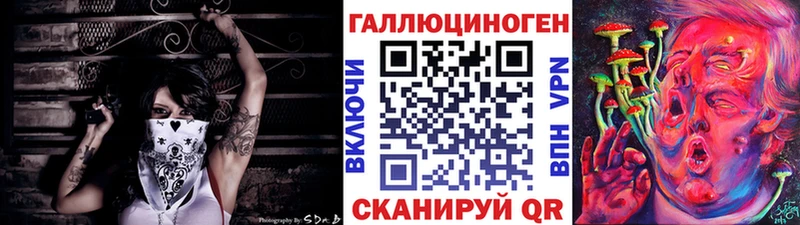 наркошоп  Зуевка  Псилоцибиновые грибы Psilocybe 